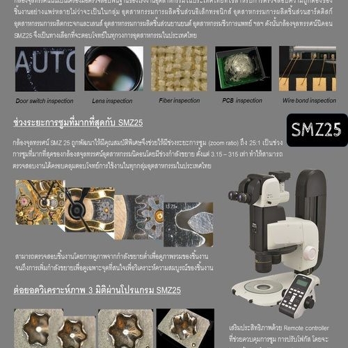 My Image 4